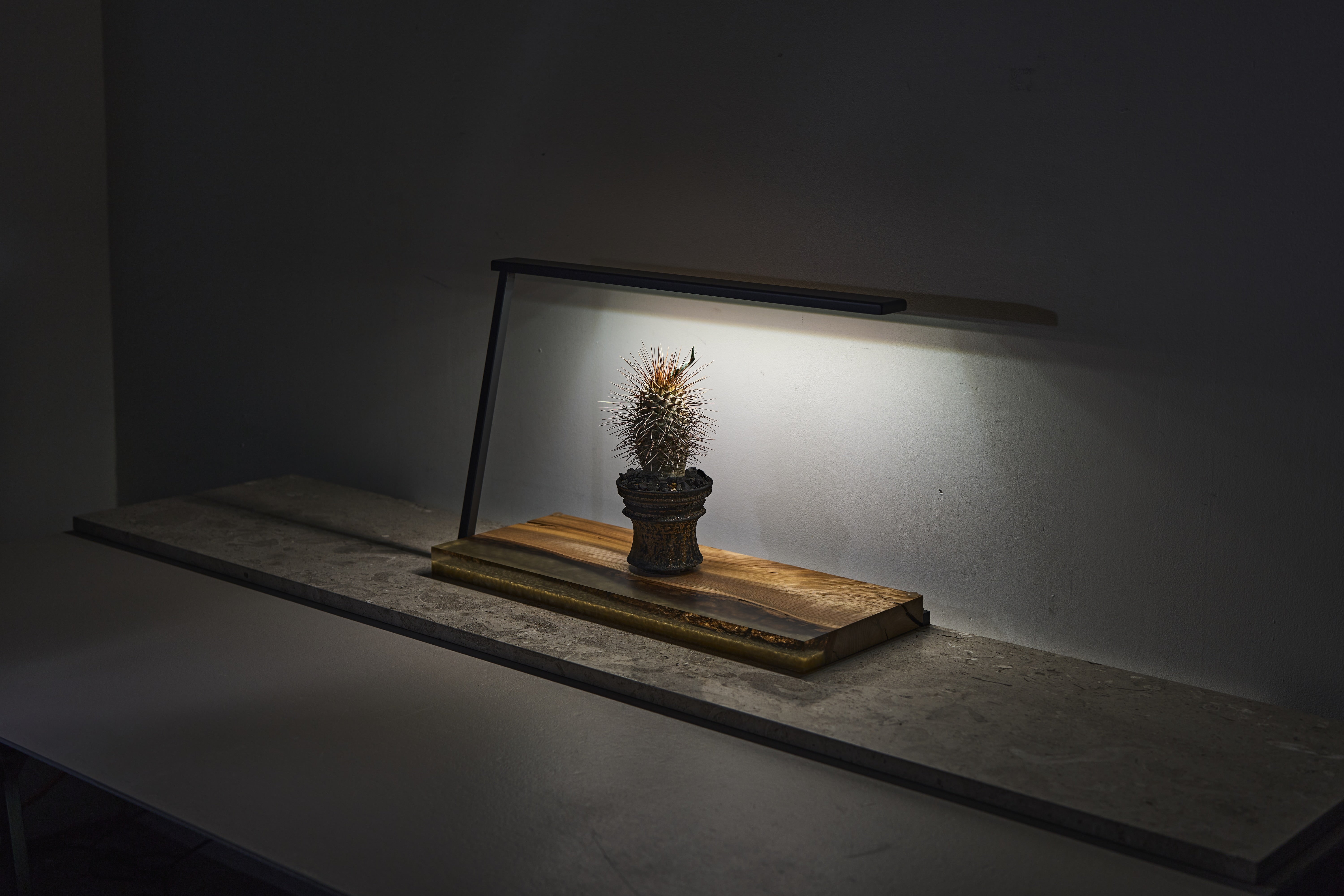 植物育成ライト スタンド型 BOTANICS Z-60S｜日本製LED